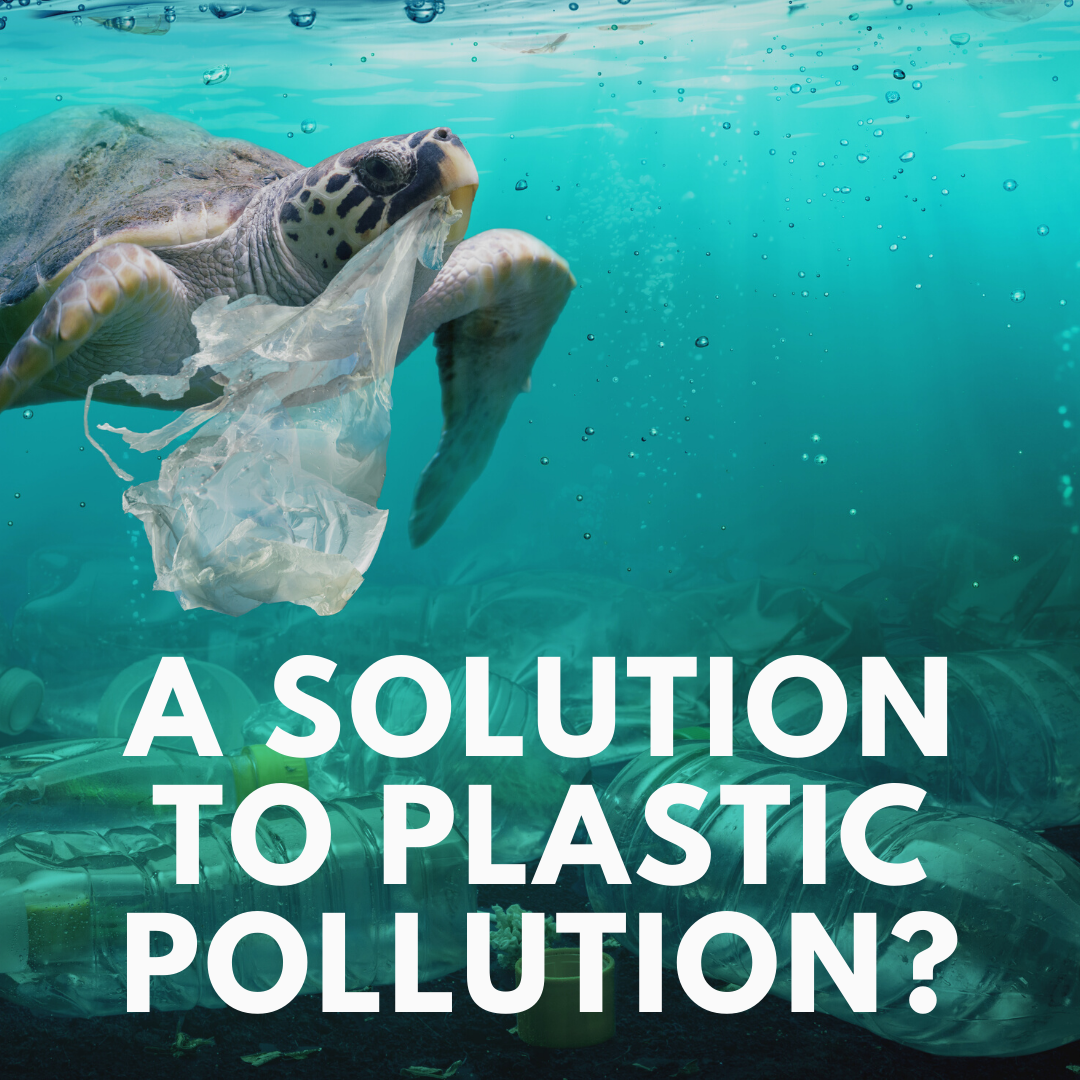 Australia’s Solution to Plastic Pollution