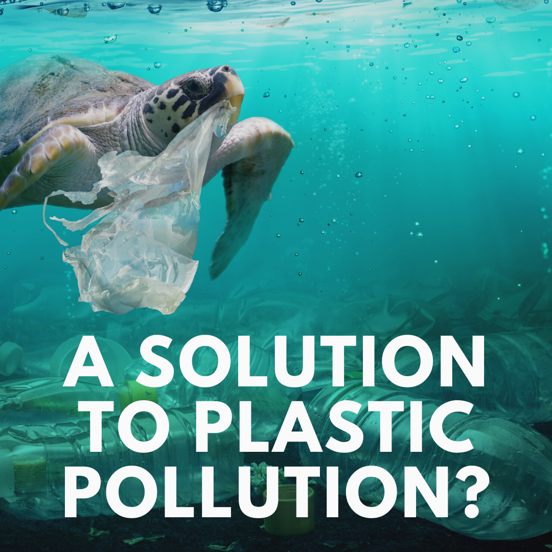 australia-s-solution-to-plastic-pollution-the-unique-idea