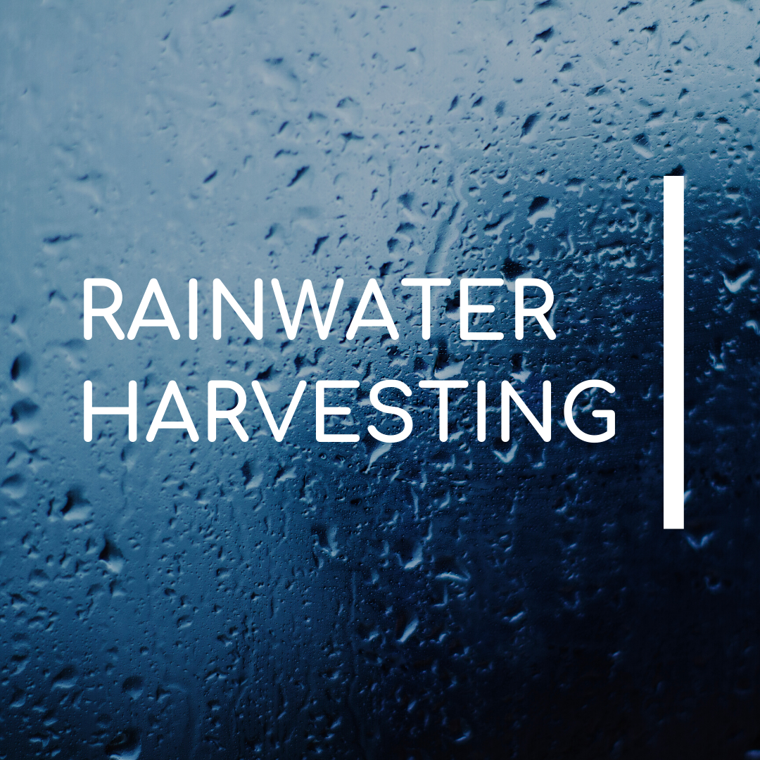 paragraph on rainwater harvesting